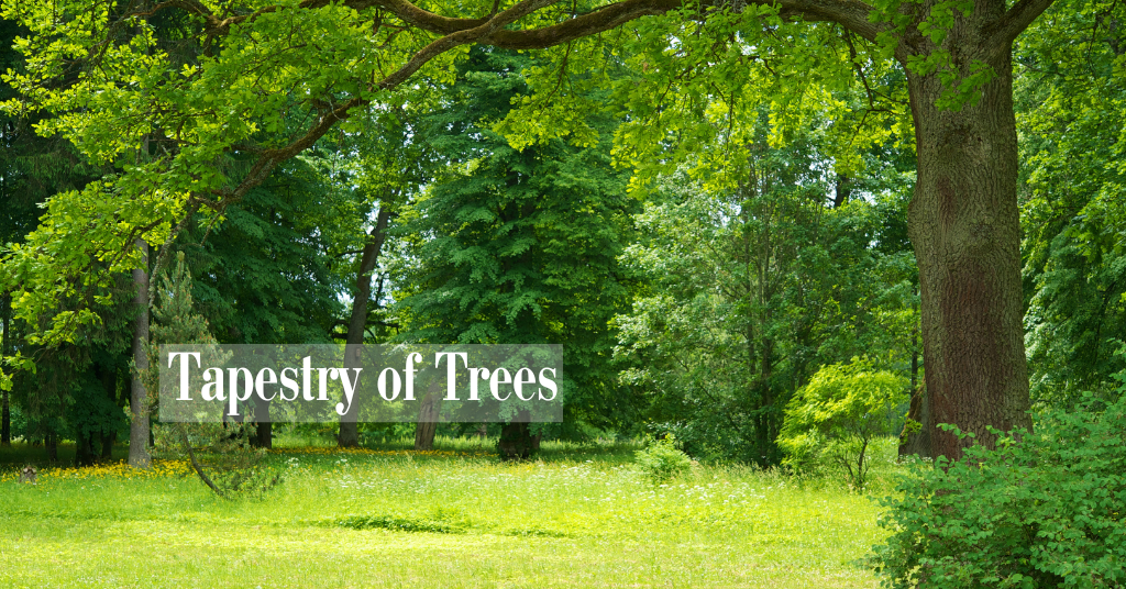 Tapestry of Trees